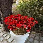 Nyaraló L'atelier Au Jardin Strasbourg