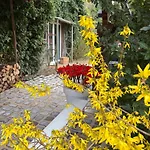 L'atelier Au Jardin