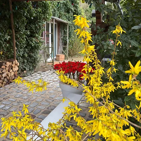 L'atelier Au Jardin