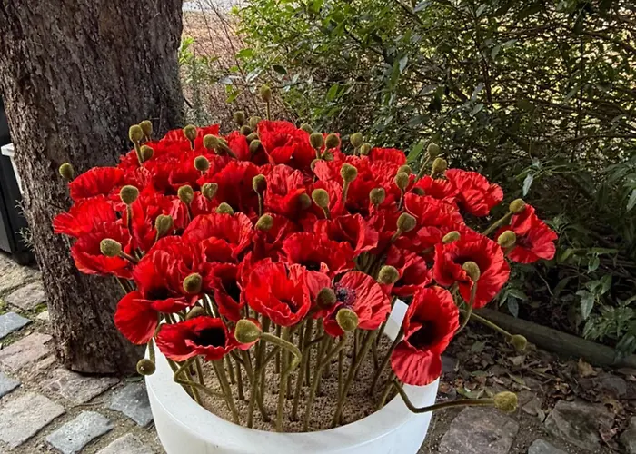 Tatil Evi L'atelier Au Jardin Strazburg