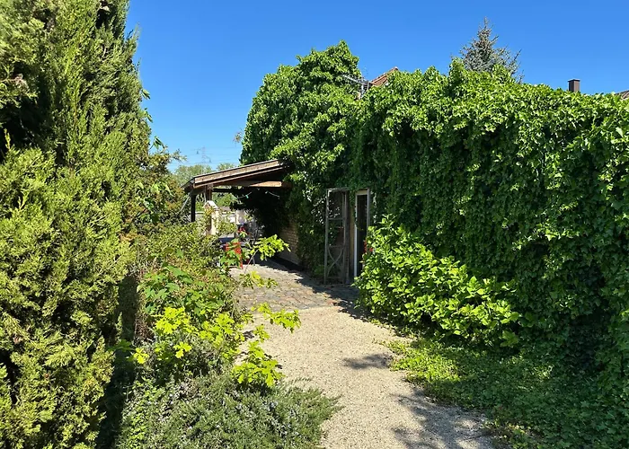 L'atelier Au Jardin *