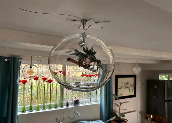 Tatil Evi L'atelier Au Jardin Strazburg