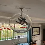 Holiday home L'atelier Au Jardin Strasbourg